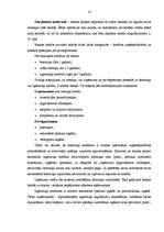 Diplomdarbs 'Patēriņa kredīta attīstība un potenciāls', 10.