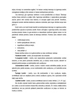 Diplomdarbs 'Patēriņa kredīta attīstība un potenciāls', 11.