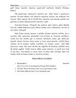 Eseja 'Bobs Dilans', 6.