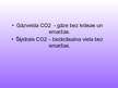 Prezentācija 'Oglekļa dioksīds (CO2)', 5.