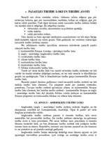 Referāts 'Tiesību avoti un to nozīme', 7.