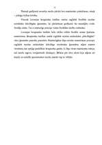 Referāts 'Livonijas iekārta un tiesības', 11.