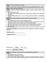 Prakses atskaite 'Prakses dienasgrāmata slimnīcas uzņemšanas nodaļā', 15.