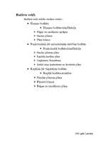 Referāts 'Personīgais budžets', 3.