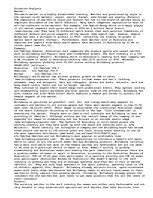 Eseja 'Marketing Plan for Bilabong', 1.