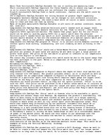 Eseja 'Marketing Plan for Bilabong', 4.