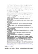 Konspekts 'Lietišķā etiķete', 12.