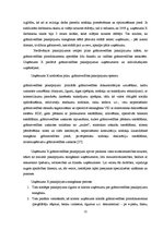 Diplomdarbs 'Grāmatvedības pakalpojumu sniedzošā uzņēmuma "X" saimnieciskās darbības analīze ', 21.