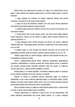 Diplomdarbs 'Grāmatvedības pakalpojumu sniedzošā uzņēmuma "X" saimnieciskās darbības analīze ', 48.