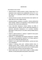 Diplomdarbs 'Grāmatvedības pakalpojumu sniedzošā uzņēmuma "X" saimnieciskās darbības analīze ', 85.