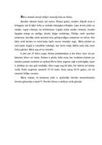 Konspekts 'Bērzs', 2.