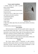 Konspekts 'Ribu lūzumi; klīnika, ārstēšana', 3.