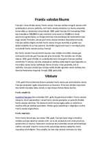 Referāts 'Valodas politika Francijā', 4.