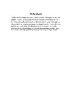 Referāts 'Valodas politika Francijā', 11.