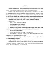 Referāts 'Eiropas Savienības valstu palīdzība ielu bērniem', 2.