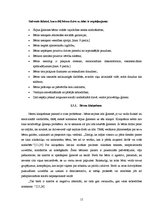 Referāts 'Eiropas Savienības valstu palīdzība ielu bērniem', 15.