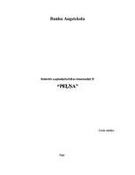 Referāts 'Peļņa', 1.