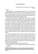 Diplomdarbs 'Kalendāras plānošanas metodes ražošanas sistēmu vadībā', 5.