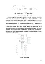 Diplomdarbs 'Kalendāras plānošanas metodes ražošanas sistēmu vadībā', 30.