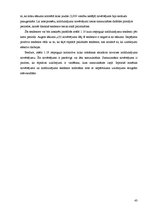 Diplomdarbs 'Kalendāras plānošanas metodes ražošanas sistēmu vadībā', 43.