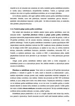 Diplomdarbs 'Kalendāras plānošanas metodes ražošanas sistēmu vadībā', 60.