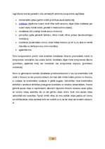 Referāts 'Radošums 21.gadsimtā', 4.