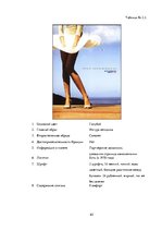 Referāts 'Сравнительный анализ рекламных плакатов компании Air France 30-50х годов ХХ и на', 65.