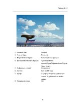 Referāts 'Сравнительный анализ рекламных плакатов компании Air France 30-50х годов ХХ и на', 70.