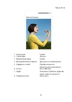 Referāts 'Сравнительный анализ рекламных плакатов компании Air France 30-50х годов ХХ и на', 79.