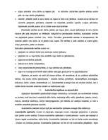 Referāts 'Autortiesību objektu aizsardzība', 7.