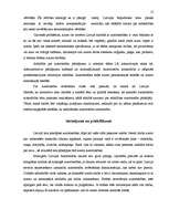 Referāts 'Autortiesību objektu aizsardzība', 12.