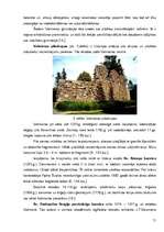 Referāts 'Tūristu interešu piesaistes Valmieras rajonā', 11.