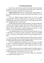 Referāts 'Tūristu interešu piesaistes Valmieras rajonā', 13.