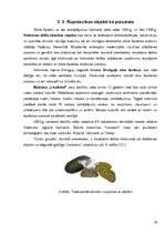 Referāts 'Tūristu interešu piesaistes Valmieras rajonā', 16.