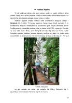 Referāts 'Tūristu interešu piesaistes Valmieras rajonā', 17.