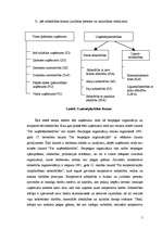 Referāts 'Uzņēmuma "X" dibināšanas un reģistrēšanas process', 5.