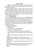 Konspekts 'Deleģēšana un atbildība', 2.