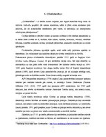 Diplomdarbs 'Cilvēktiesību minimums attiecībā uz īpašām ieslodzīto kategorijām', 5.