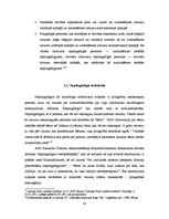 Diplomdarbs 'Cilvēktiesību minimums attiecībā uz īpašām ieslodzīto kategorijām', 20.