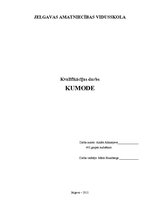 Diplomdarbs 'Mēbeļu galdnieka kvalifikācijas darbs - kumode', 1.