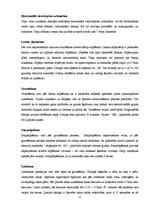 Diplomdarbs 'Mēbeļu galdnieka kvalifikācijas darbs - kumode', 11.