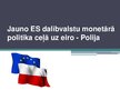 Prezentācija 'Jauno Eiropas Savienības dalībvalstu monetārā politika ceļā uz eiro. Polija', 1.