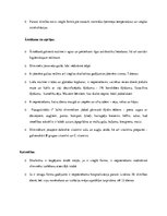 Konspekts 'Bērnu specifiskās infekcijas', 3.