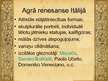 Prezentācija 'Glezniecība Itālijā agrās renesanses laikā', 7.