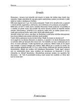Referāts 'Feminisms', 2.