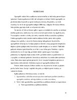 Referāts 'Ugunsdrošība', 12.