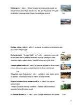 Referāts 'Tūrisma iespējas Kurzemē', 8.