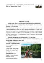 Referāts 'Tūrisma iespējas Kurzemē', 9.