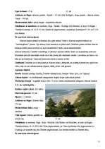 Referāts 'Tūrisma iespējas Kurzemē', 10.