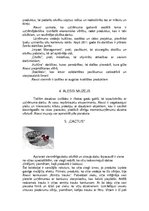 Prezentācija 'Marta Sansoni', 6.